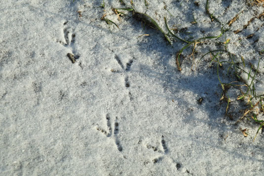 Weg zum Glück, mein Leben ist langweilig, kleine Schritte, Anleitung, Selbsthilfe, Inspiration