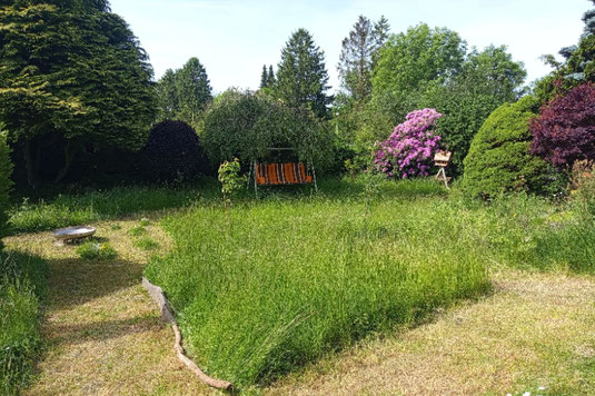 Naturgarten, Temperatureffekt, Klimaschutz, Klimaerwärmung, Naturgarten anlegen, Insekten