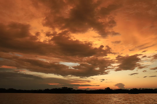Amazonas, Regenwald, Ecuador, Sonnenuntergang, Lagune, Bamboo Lodge, Cuyabeno