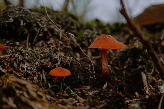 Comparisons, personal growth, self-confidence, gain self-confidence, self-worth, you are worth it