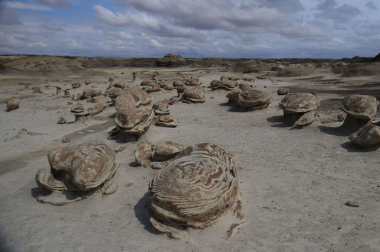 Cracked eggs in the Bisti/De-Na-Zin Wilderness, hiking, moon landscape, USA