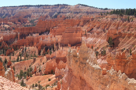 Bryce Canyon, Hoodoos, Overlook, USA roadtrip