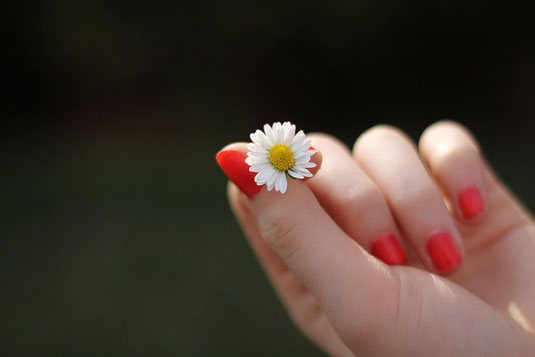 Little things in life, be grateful, be thankful, flowers, giving, lifetime, purpose of life - photo: martaposemuckel