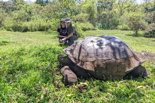 Riesenschildkröten, Galapagos-Schildkröten, Natur, over-tourism, Naturschutz, Ökotourismus, Nachhaltigkeit