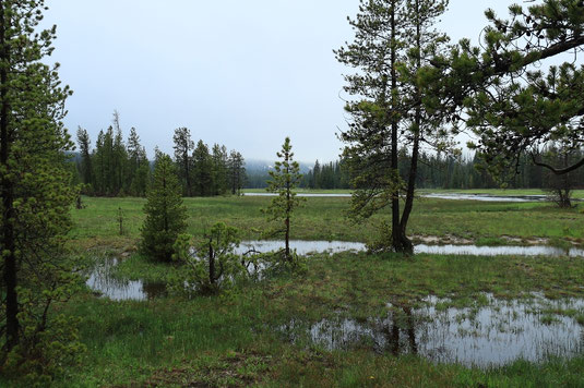 Yellowstone backcountry camping, flood, heavy rain, camping, tent camping USA