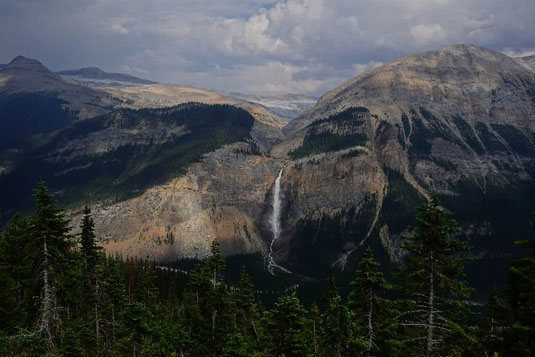 Yoho National Park Canada, bear encounter, close-up bear encounter, bear spray Canada, hiking