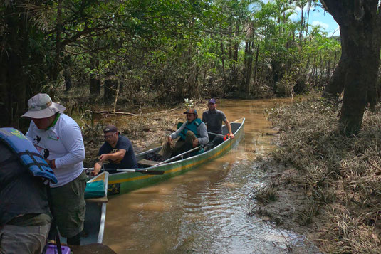 Rainforest adventure, canoe, paddling, Ecuador, Cuyabeno