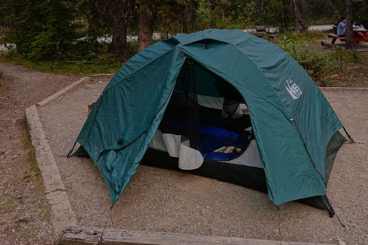 Bear encounter at Yoho National Park, tent camping in Canada, bear close up
