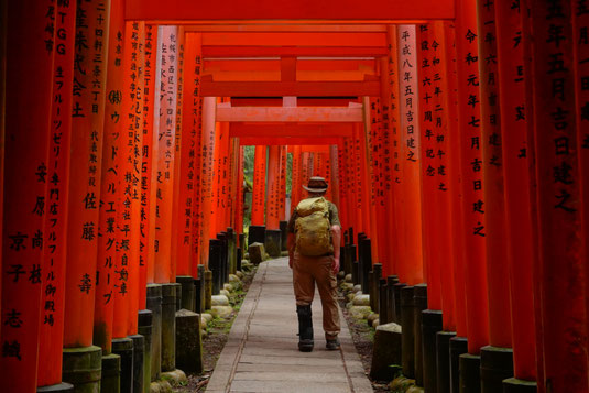 Fushimi Inari Kyoto, 10.000 red torii gates, walking through Kyoto, calm and silence, spiritual places
