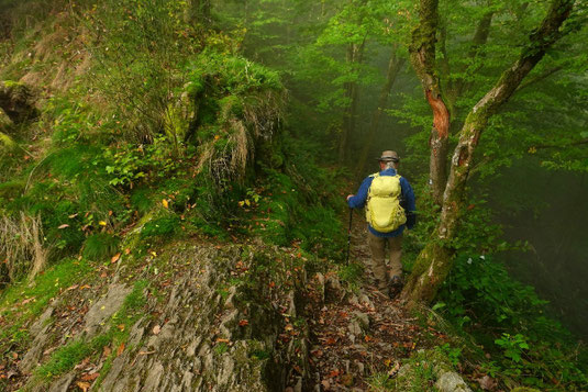 Direkt mal in den Busch - auf dem Lee Trail "escapen"