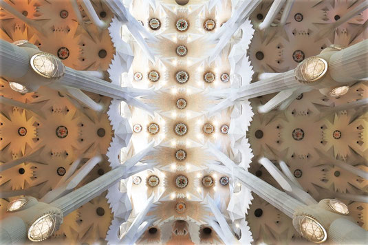 Sagrada Familia, Decke, Innenraum, Führung, Spanien, Antoni Gaudi