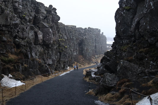Tektonische Platten, Island, Vulkanismus, Geologie, Thingvellir National Park
