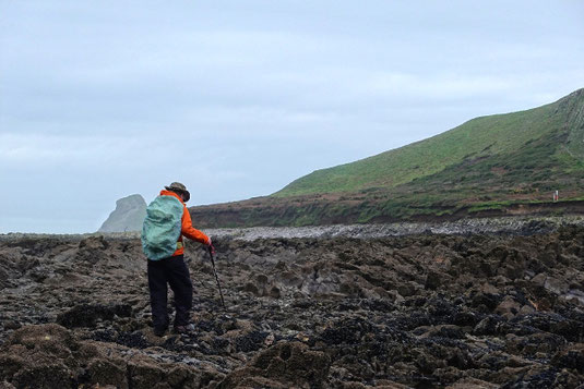 Worms Head, hiking in Wales, hiking on the sea bottom, Sarah and Rand, adventures outdoors