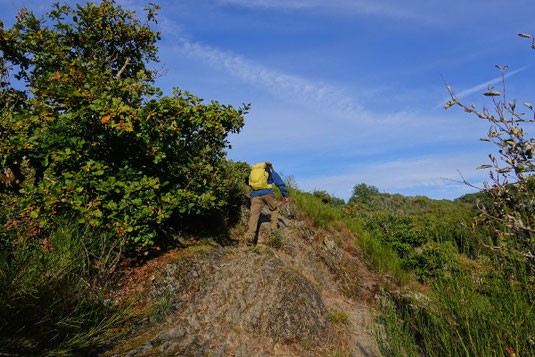 Lee, Schiefergrate, Lee Trail Luxemburg, Wandern in Luxemburg, Schiefer Geologie