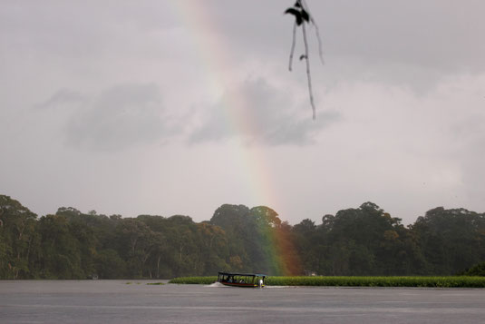 Tortuguero, canoe tour, rainforest, national park Costa Rica