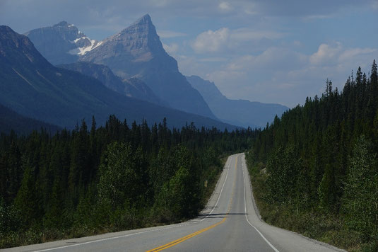 Icefields Parkway, is it worth it? Roadtrip Icefields Parkway, Canada, Rocky Mountains