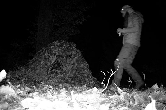 Shelter Übernachtung im Wald, Survival, Bushcraft, Wildnispädagogik, Sarah Flory