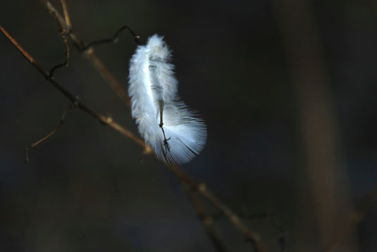 Unburden yourself, no consume, minimalism, less is more, declutter