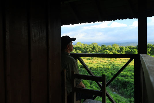 Chitwan Tower overnight, jungle, view, rhinos Nepal, National Park