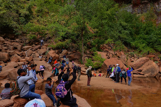 Zion National Park, überfüllt, Übertourismus, zu viele Menschen, nachhaltiger Tourismus, USA Nationalparks