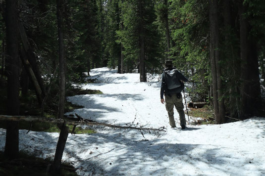 Shoshone Geyser Basin Yellowstone, backcountry Yellowstone Nationalpark USA, wandern, Rucksack, camping, zelten, Schnee