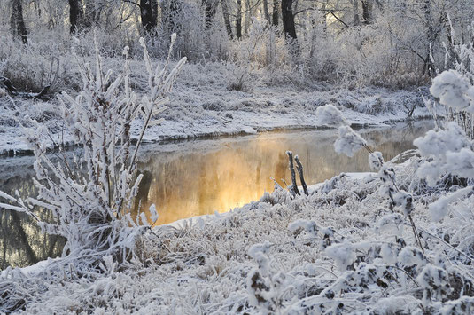 Schneebedeckte Landschaft