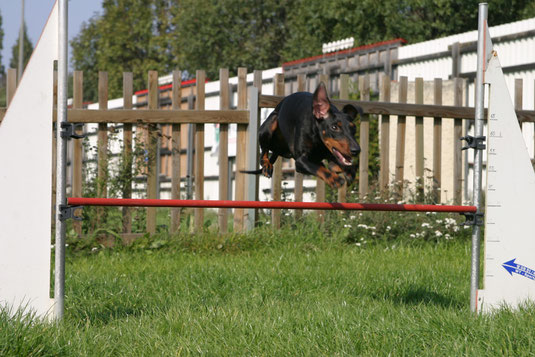 Agility