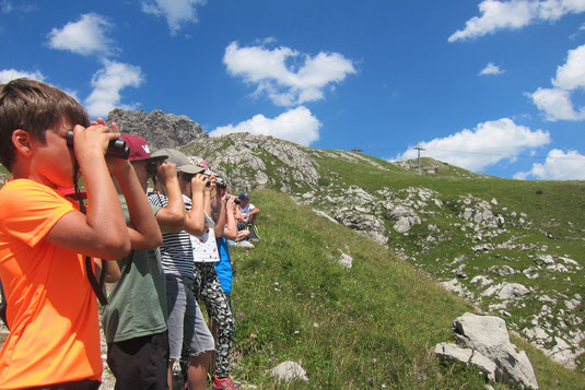 Schüler entdecken die alpine Tierwelt im Rahmen des LBV-Umweltbildungsprojektes Klassenzimmer Alpen, Monika Schirutschke 