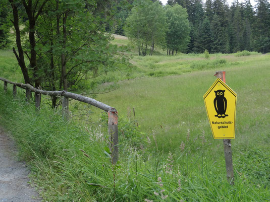 NSG Röthengrund