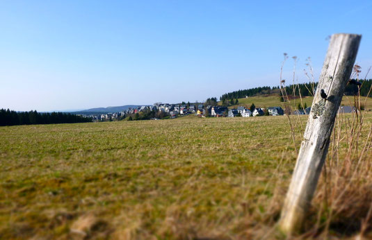 Die Hochweide "Land" bei Steinheid liegt über 800 m NHN