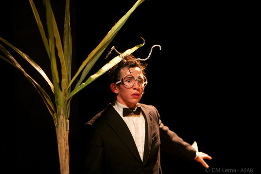 Todo a su tiempo en el Maratón de teatro cómico