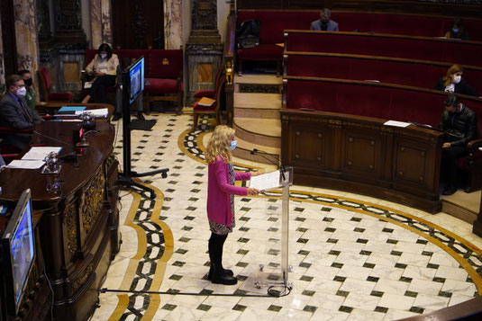 Marta Torrado, concejal del PP de Valencia