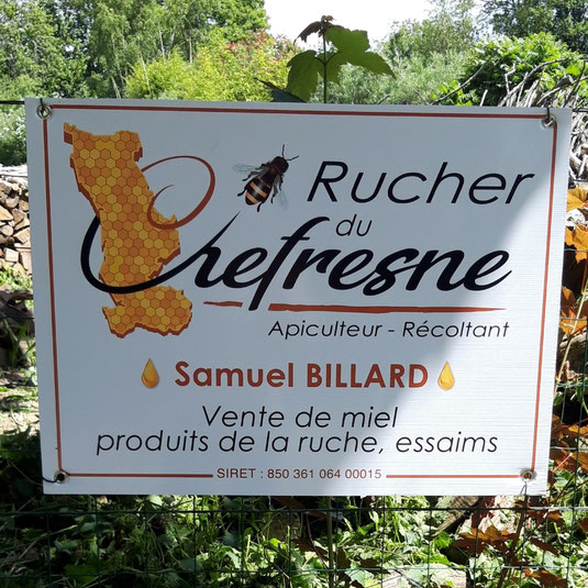 Rucher du Chefresne vente miel essaim exploitation apicole Manche