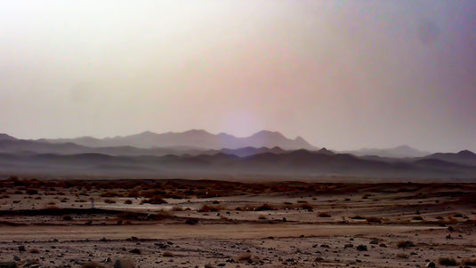 True Gobi.