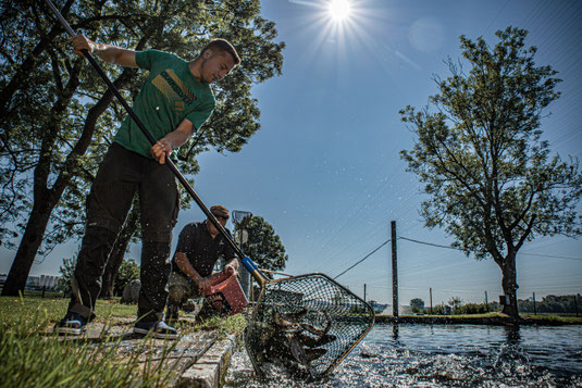 Weiher Fischzucht Fisch Wasser Forellenzucht Simon Fischer Forellen 