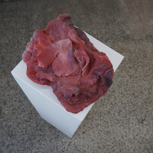 Meat-Piece, Pigment, Silikon, 2020; Ausstellungsansicht Hinterkonti e.V., Hamburg