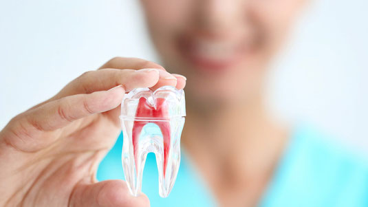 La endodoncia permite eliminar los tejidos dañados o infectados del diente, famident