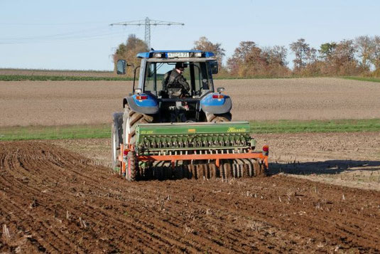 Einsaat der Fläche mit Regiosaatgut, Bild: Klaus Sanzenbacher