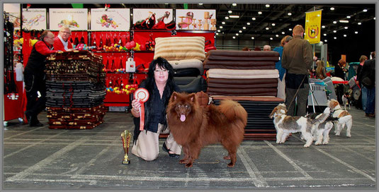 Unser 10 Monate alter Großspitz Rüde "Duplo von der Arnold's Eiche" vor dem Ehren Ring in Offenburg.