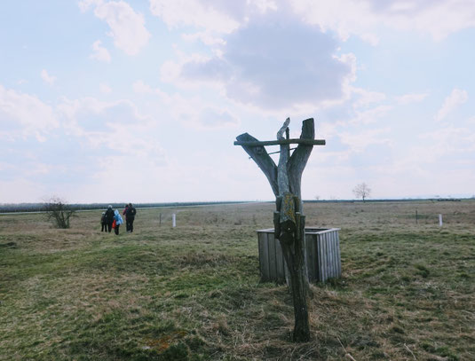 Jahrhundertelang wurde über diese Brunnen das Grundwasser genutzt.