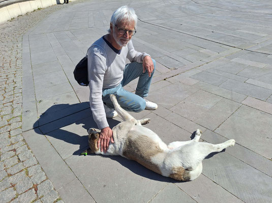 Hans umsorgt einen der streunende Hunde