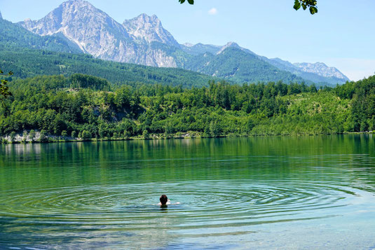 Wasser, Wald und Fels – Schwimmen mit Aussicht auf die vielfältige Landschaft