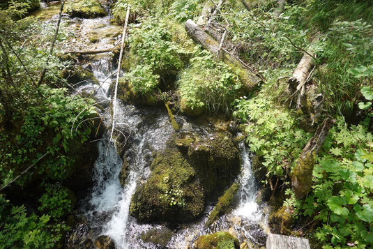 Als das Holz an wirtschaftlicher Bedeutung verlor, wurde das Wasser zum wichtigsten Geldgeber in Wildalpen.
