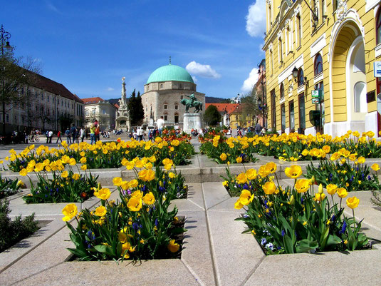 Im Stadtzentrum von Pecs