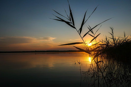 Die Lausitz: einst Kohlerevier, heute naturnahe Landschaft aus zweiter Hand.