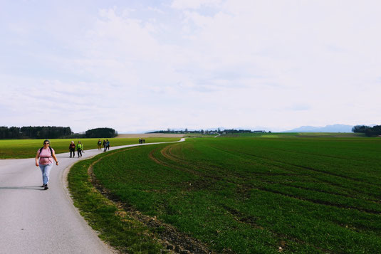 Meist auf Güter- und Naturwegen durch das Kulturland rund um Wels unterwegs