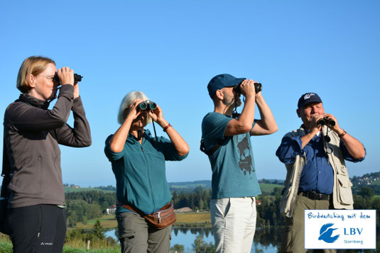 Birdwatching mit dem LBV Starnberg - Veranstaltungsreihe der ASO 