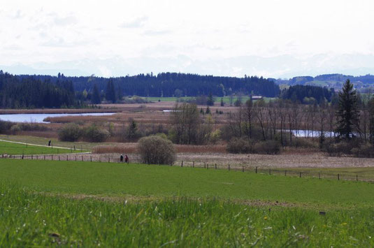 Seebecken mit Blickrichtung Süd (Foto: Sebastian Ludwig)