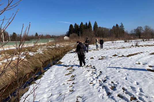 Wo sitzt die Zwergschnepfe ?  (Foto: Pit Brützel)