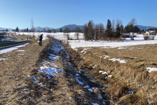 Suche nach der Zwergschnepfe (Foto:  Pit Brützel)